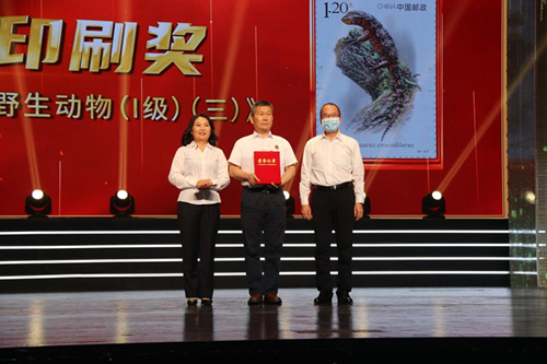 图片5_副本.png