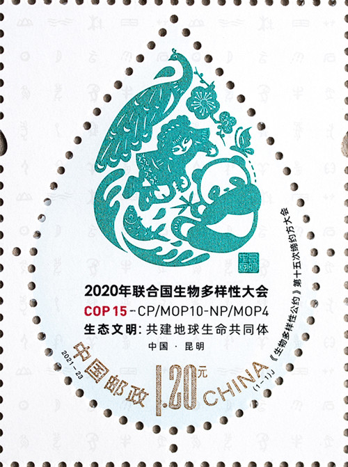 图片9.png