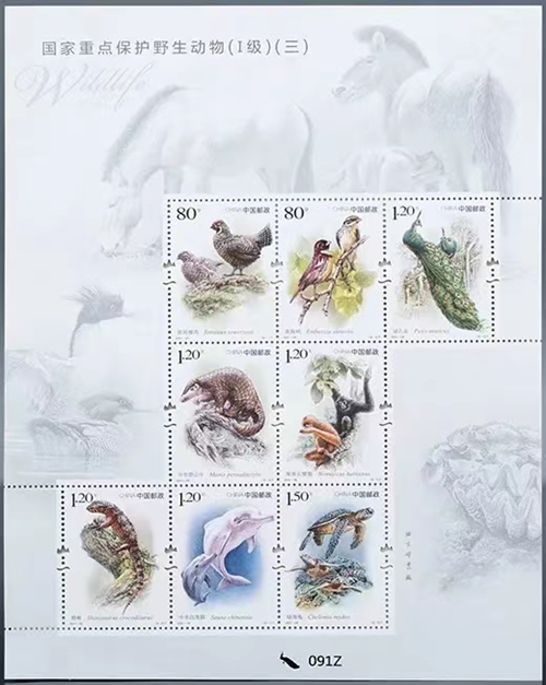 图片10_副本.png